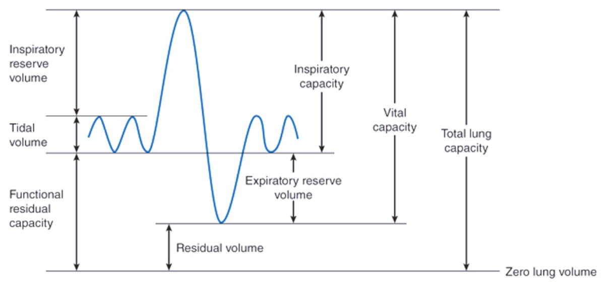 Spirometry